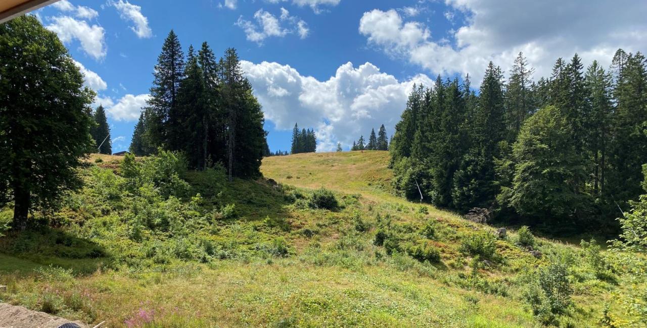Ferienwohnung Feldberg Schwarzwald 外观 照片