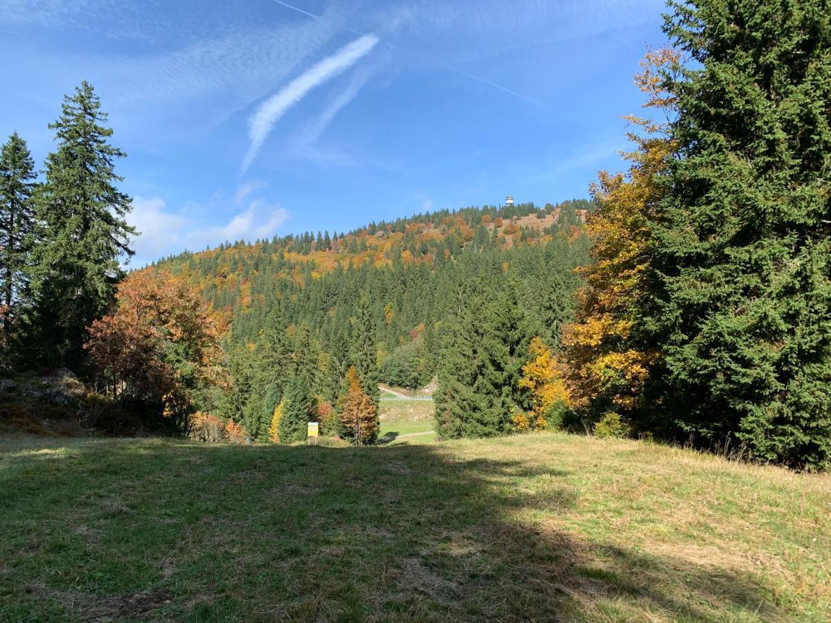 Ferienwohnung Feldberg Schwarzwald 外观 照片