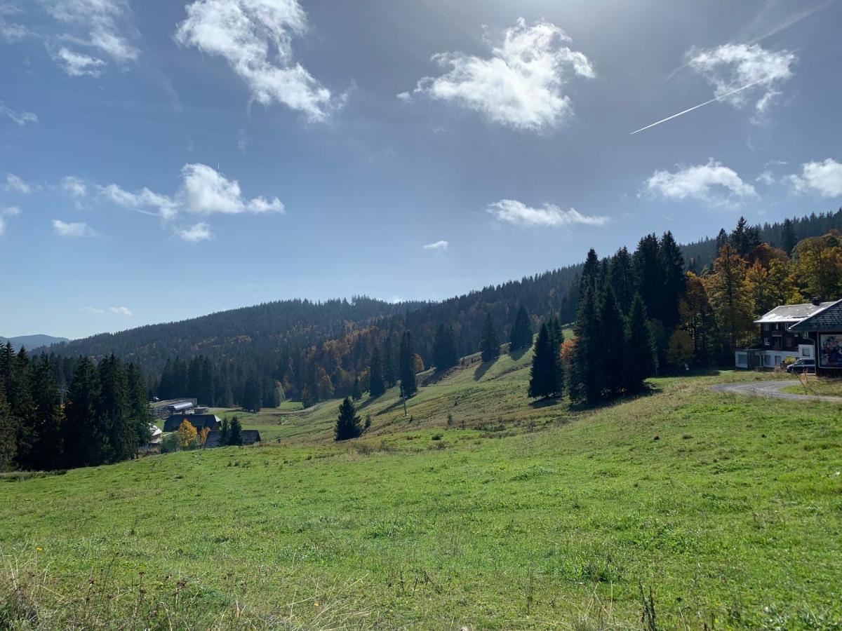 Ferienwohnung Feldberg Schwarzwald 外观 照片