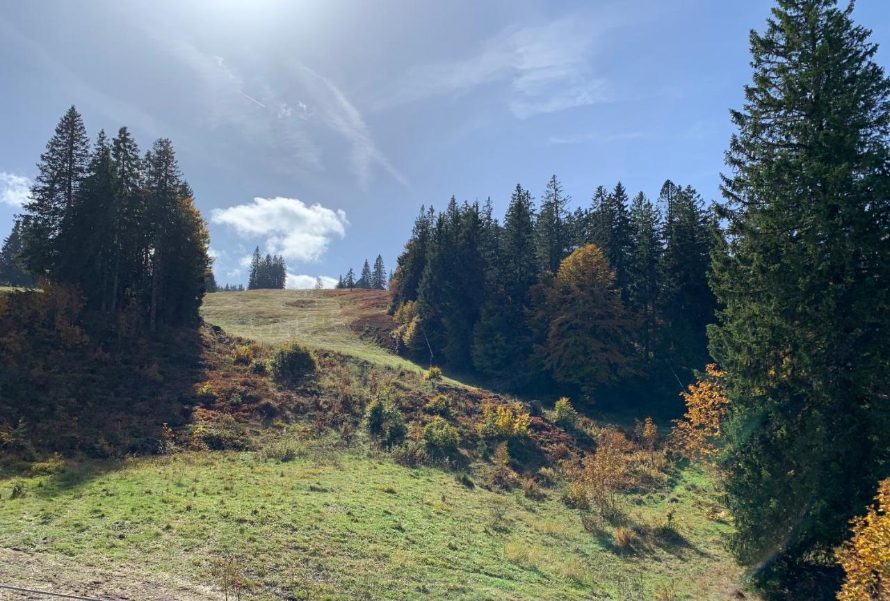 Ferienwohnung Feldberg Schwarzwald 外观 照片