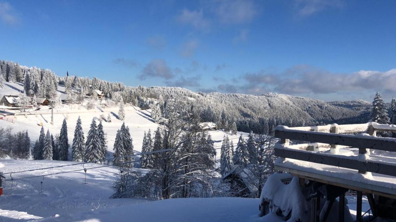 Ferienwohnung Feldberg Schwarzwald 外观 照片