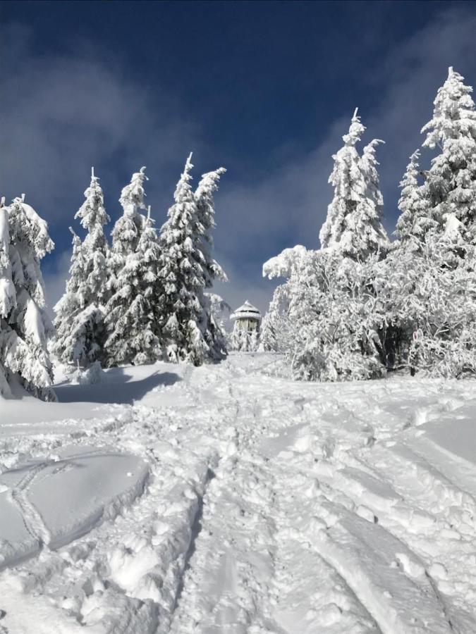 Ferienwohnung Feldberg Schwarzwald 外观 照片