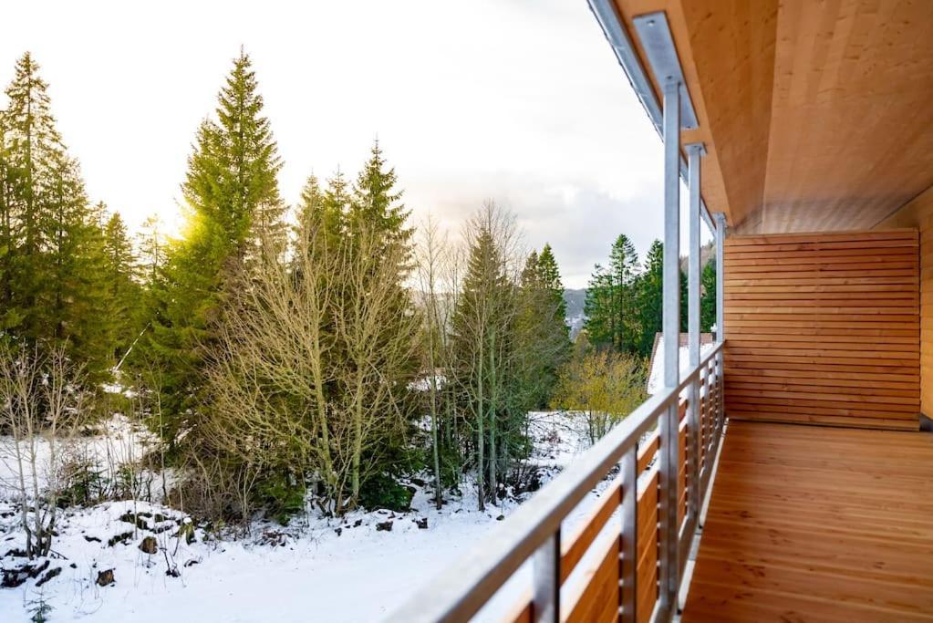 Ferienwohnung Feldberg Schwarzwald 外观 照片