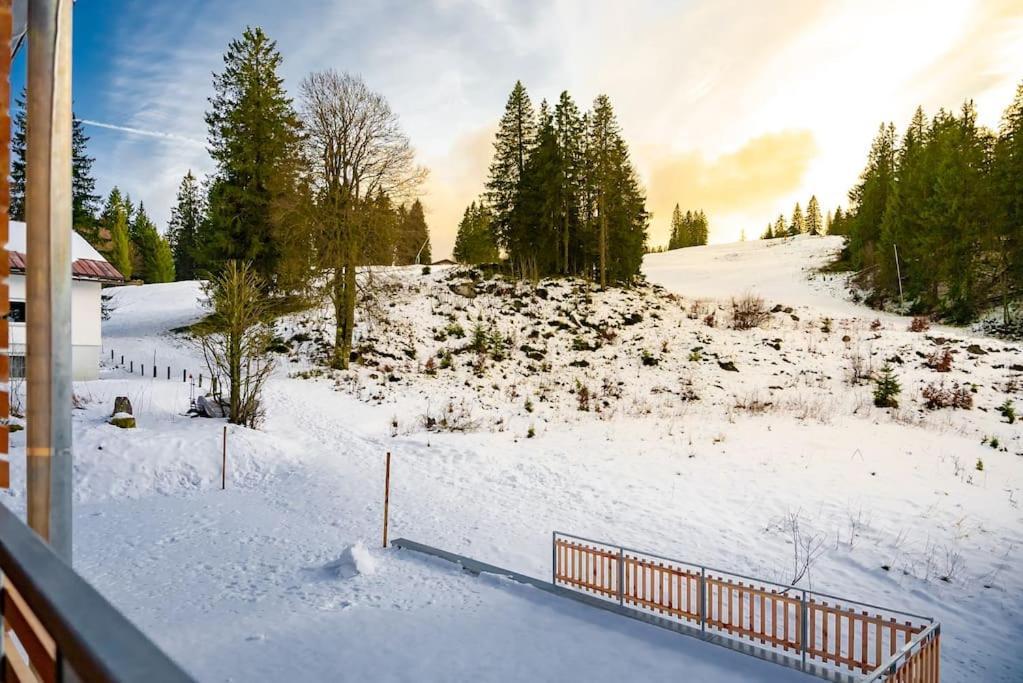 Ferienwohnung Feldberg Schwarzwald 外观 照片